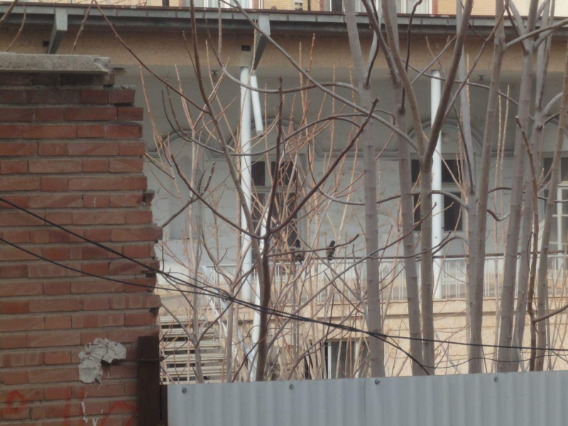 خانه ای در بارون آواک